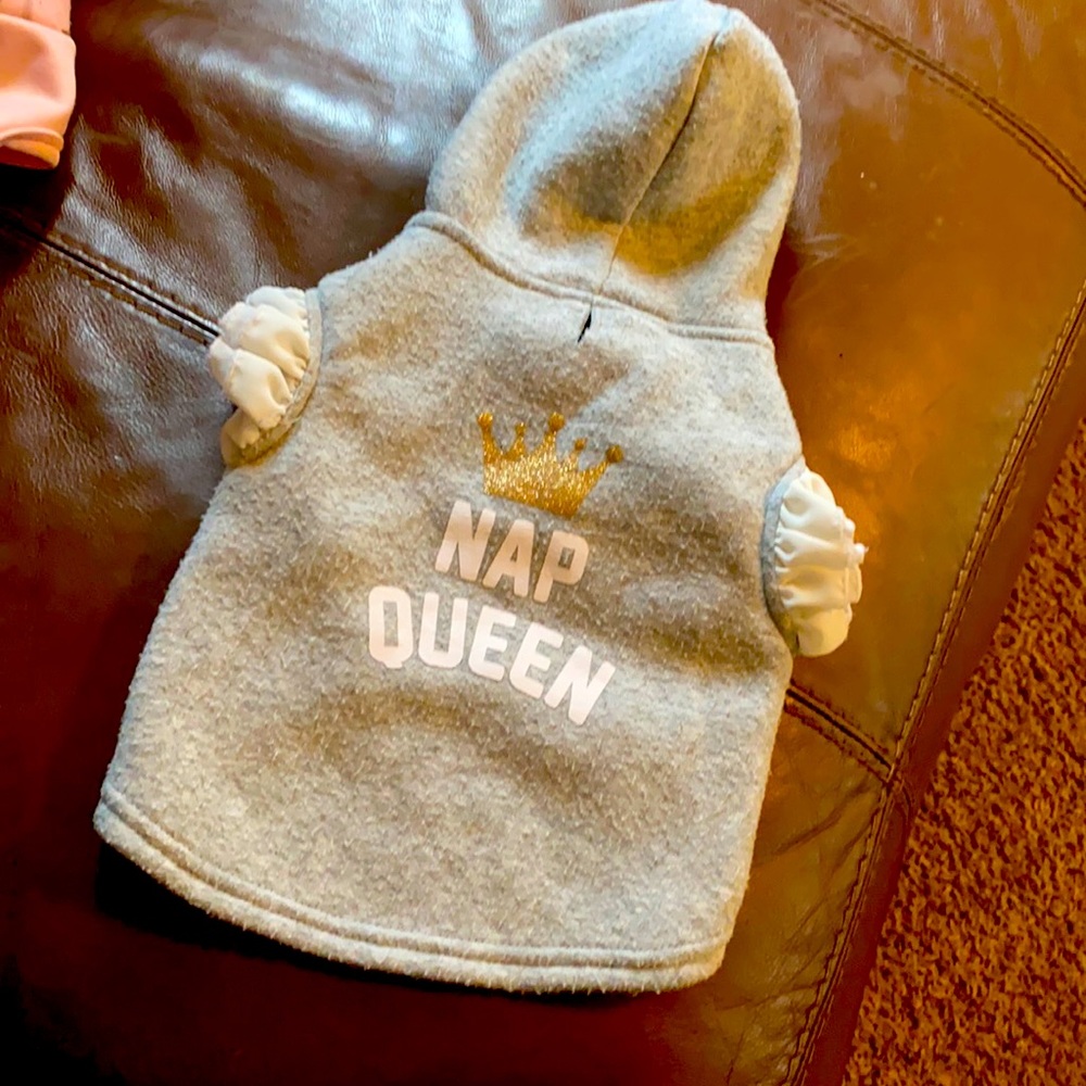 Dog sweater!